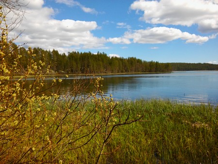 Finnland  Bild