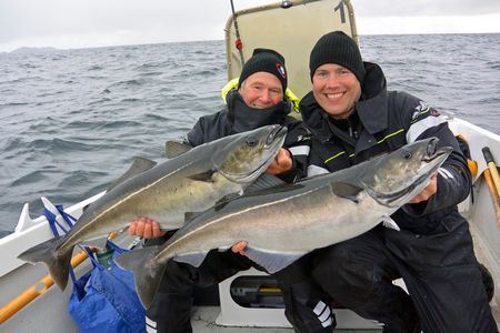 Nordnnorwegen Fjordcamp Fischbild 