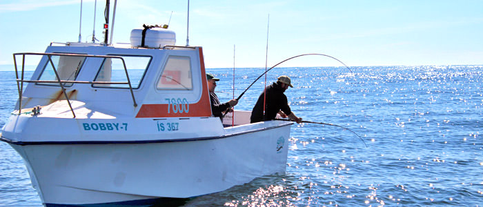 Flateyri Bootsflotte