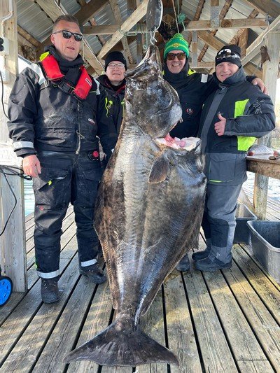 Frov&Atilde;&yen;g Havfiske