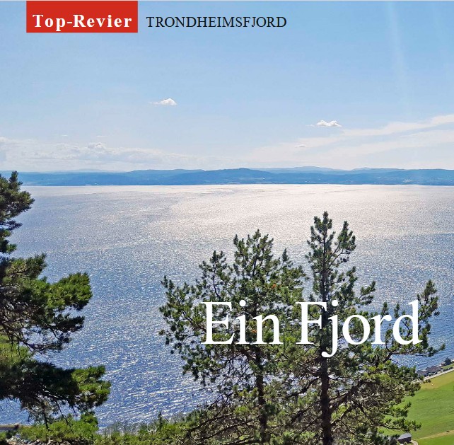 Hindrum Fjordsenter Presseberichte