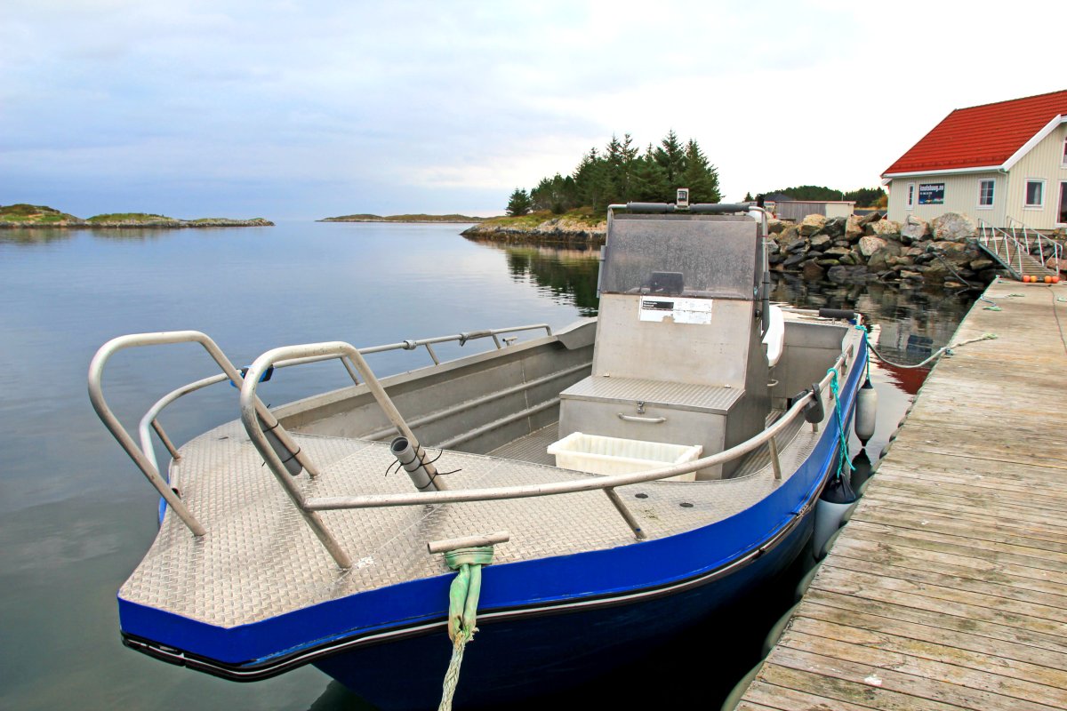 Knutshaug Fiskeferie Angelboote