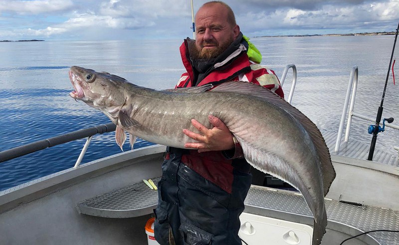 Knutshaug Fiskeferie Reisebericht