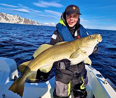 Erfolgreicher Fang Bei Lofoten Havfiske