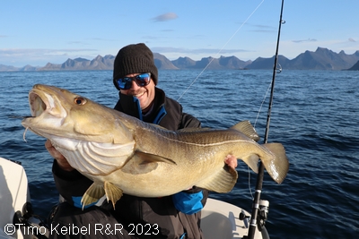 Lofoten Havfiske   Unterwasserberge Und Hotspots F&atilde;&frac14;R Heilbutt