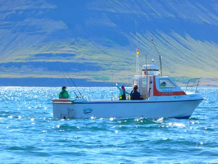 Island Westfjorde Bootsflotte
