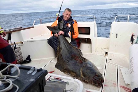 Nordnorwegen Torsvag Fischbild