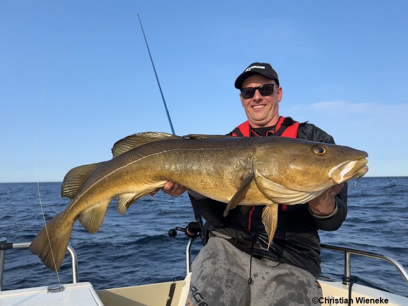 Torsvag Fisch